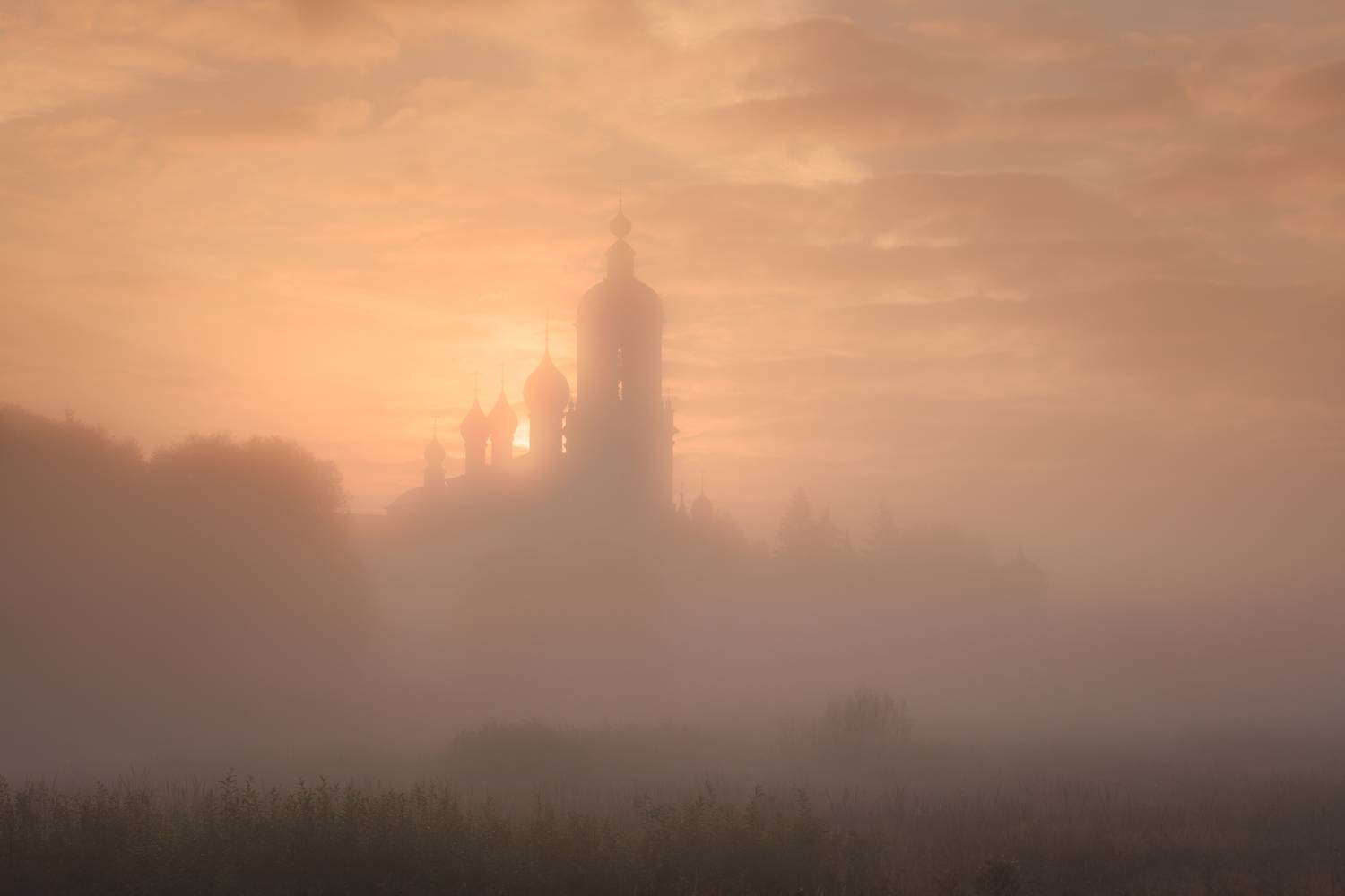 , Максим Евдокимов