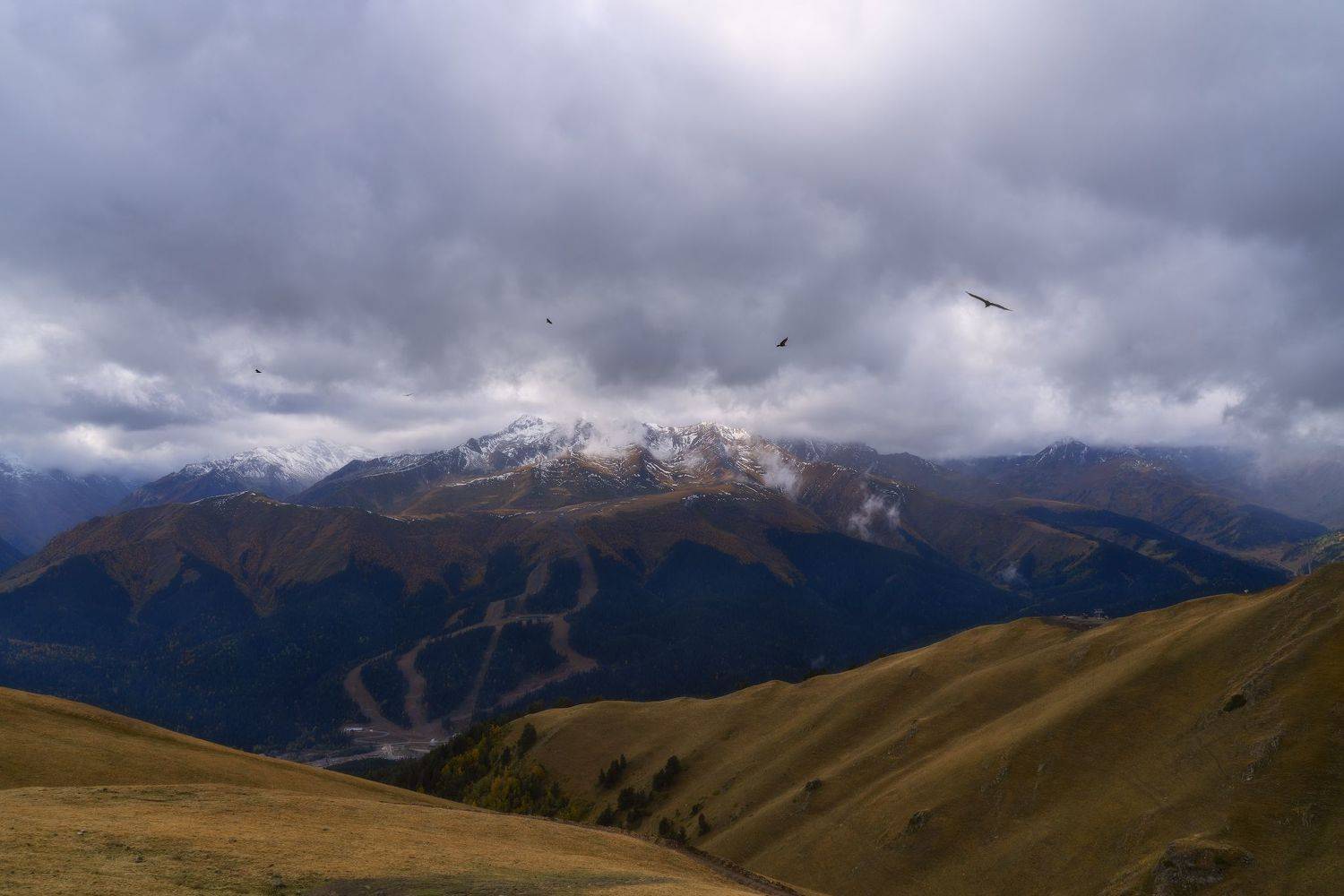 , Юлия Мальцева