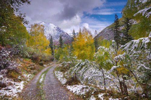 Снежная осень