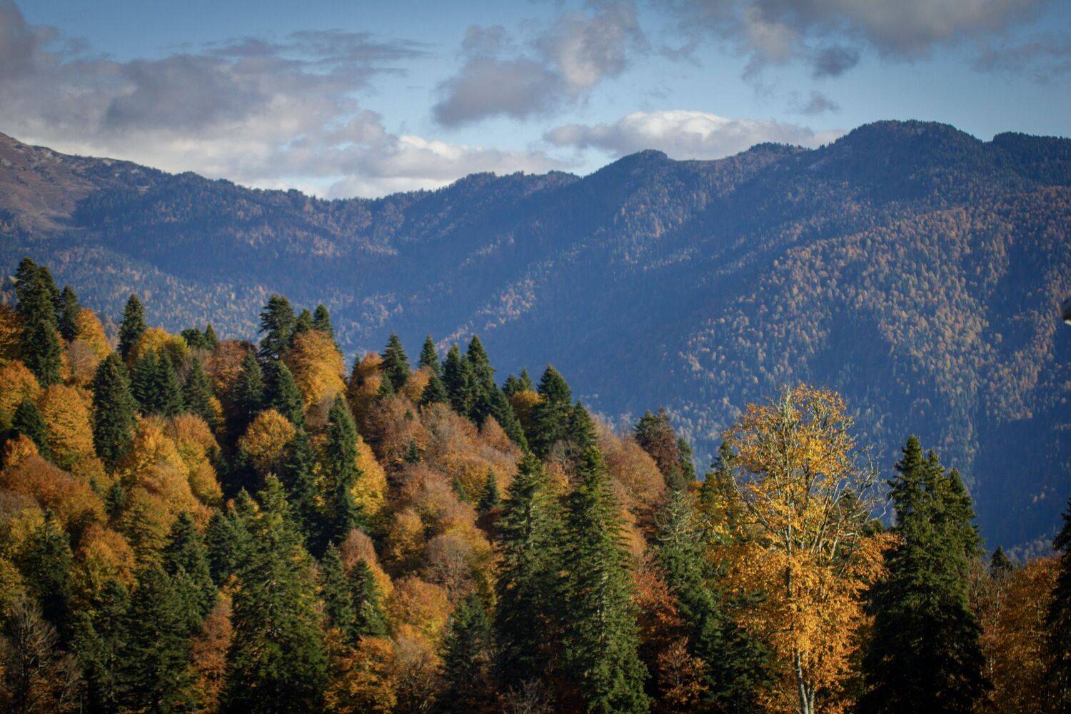 , Сергей Фаренюк