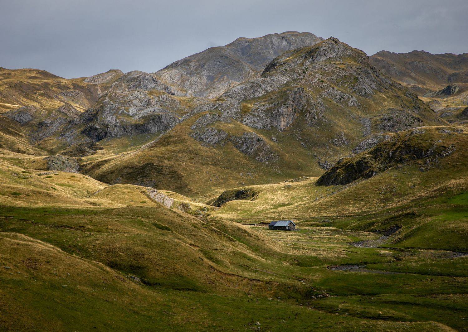 , Алекс Римский