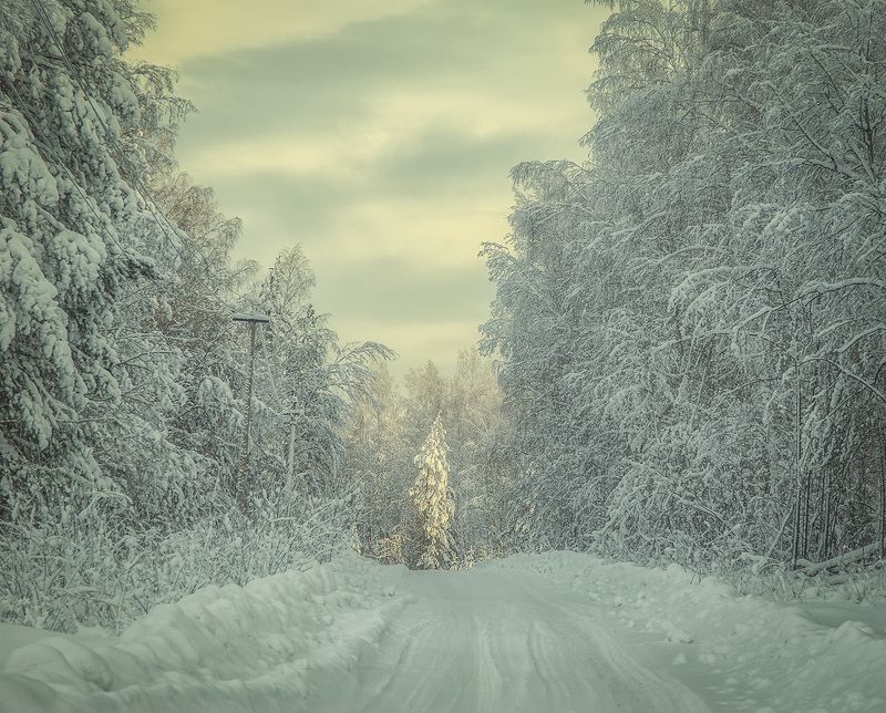 *** фото превью