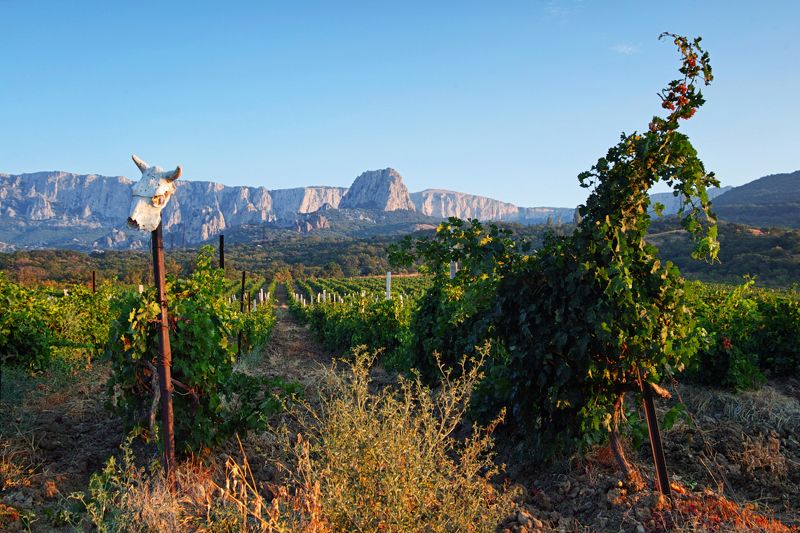 ***** фото превью