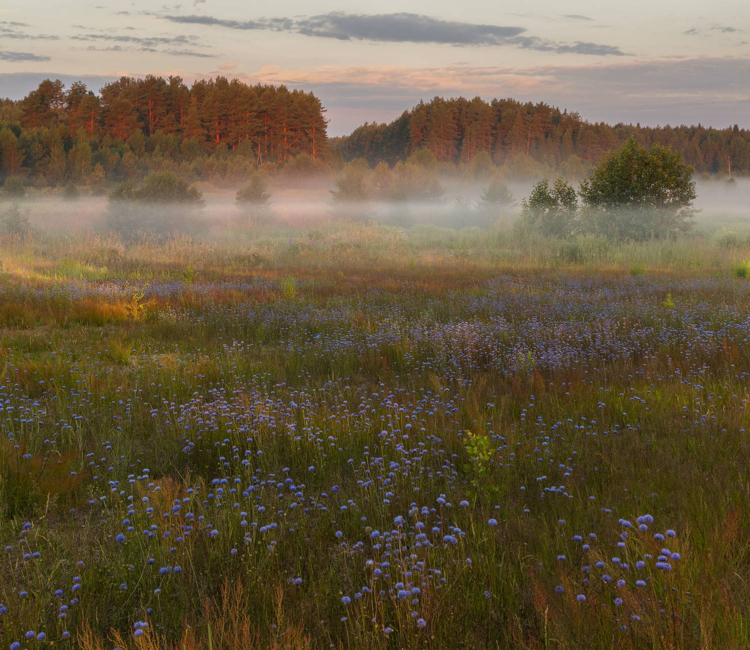Фототуры с Владимиром Рябковым, #topnature #russpasibo #magic_shots #lovelyRussia #sunset_vision #exclusive_sky  #exclusive_shots #loves_russia2 #photoarena_nature #nature_sultans #nature_perfection #rsa_sky #rsa_sunset #photorussia #rsa_naturepics #sunse, Владимир Рябков