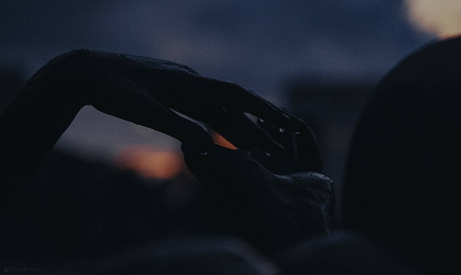 ZapWorld,zap,zap shevtsov,Сергей Шевцов,темное,ночь,туман,яркое,Необычное,лучшее фото,креативное,креатив,винтажное,пленочное, Sergey Shevtsov