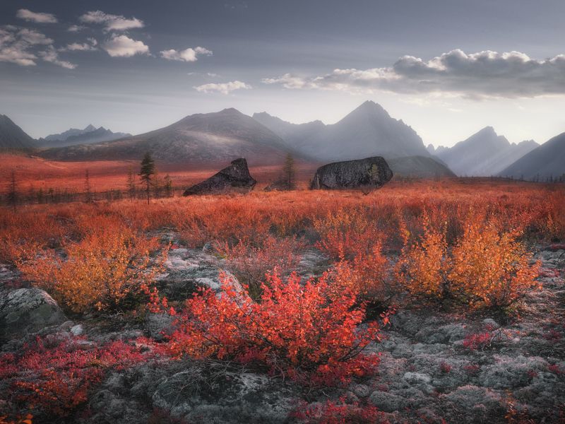 Выпас каменных поросят фото превью