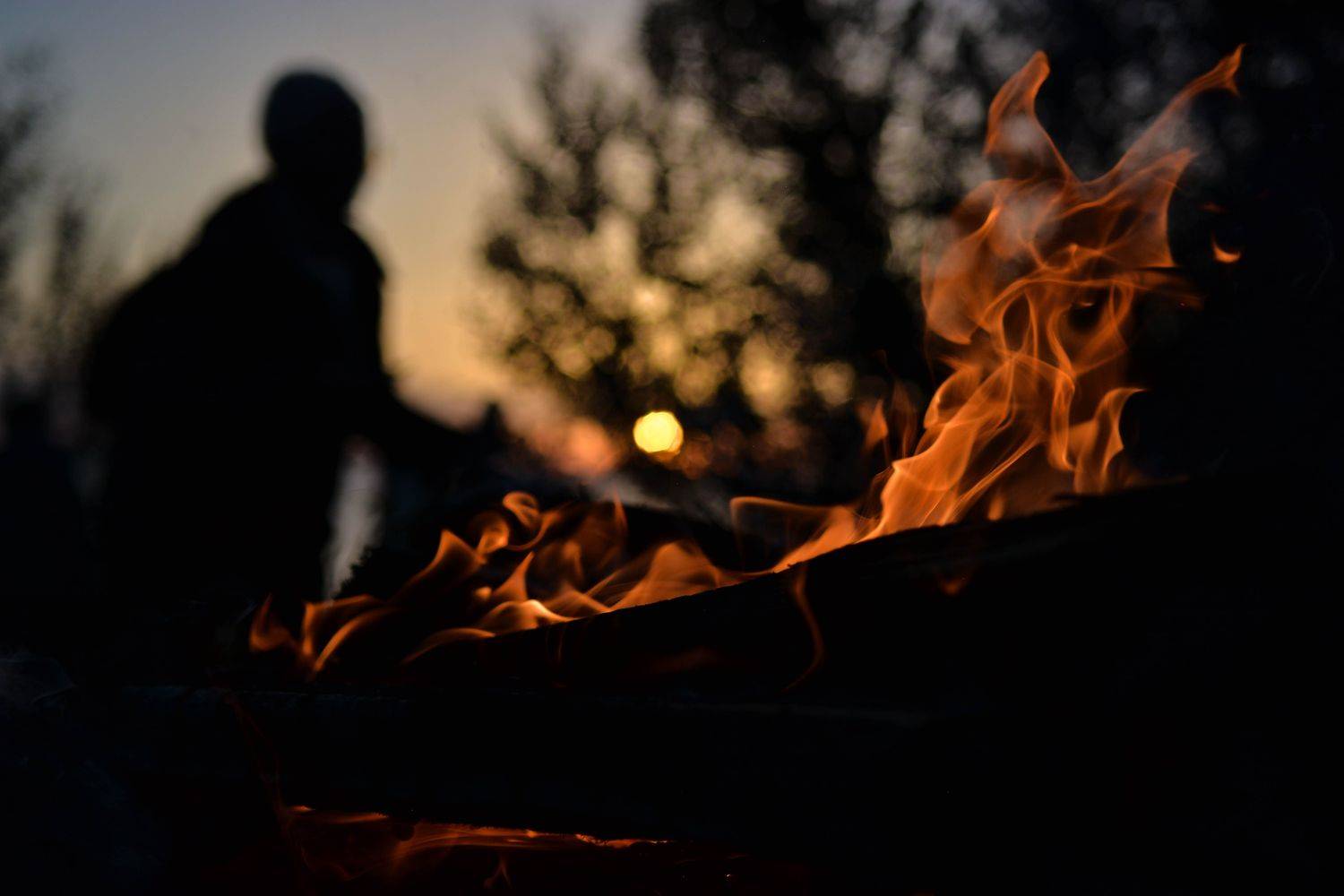 , Алексей Ильин