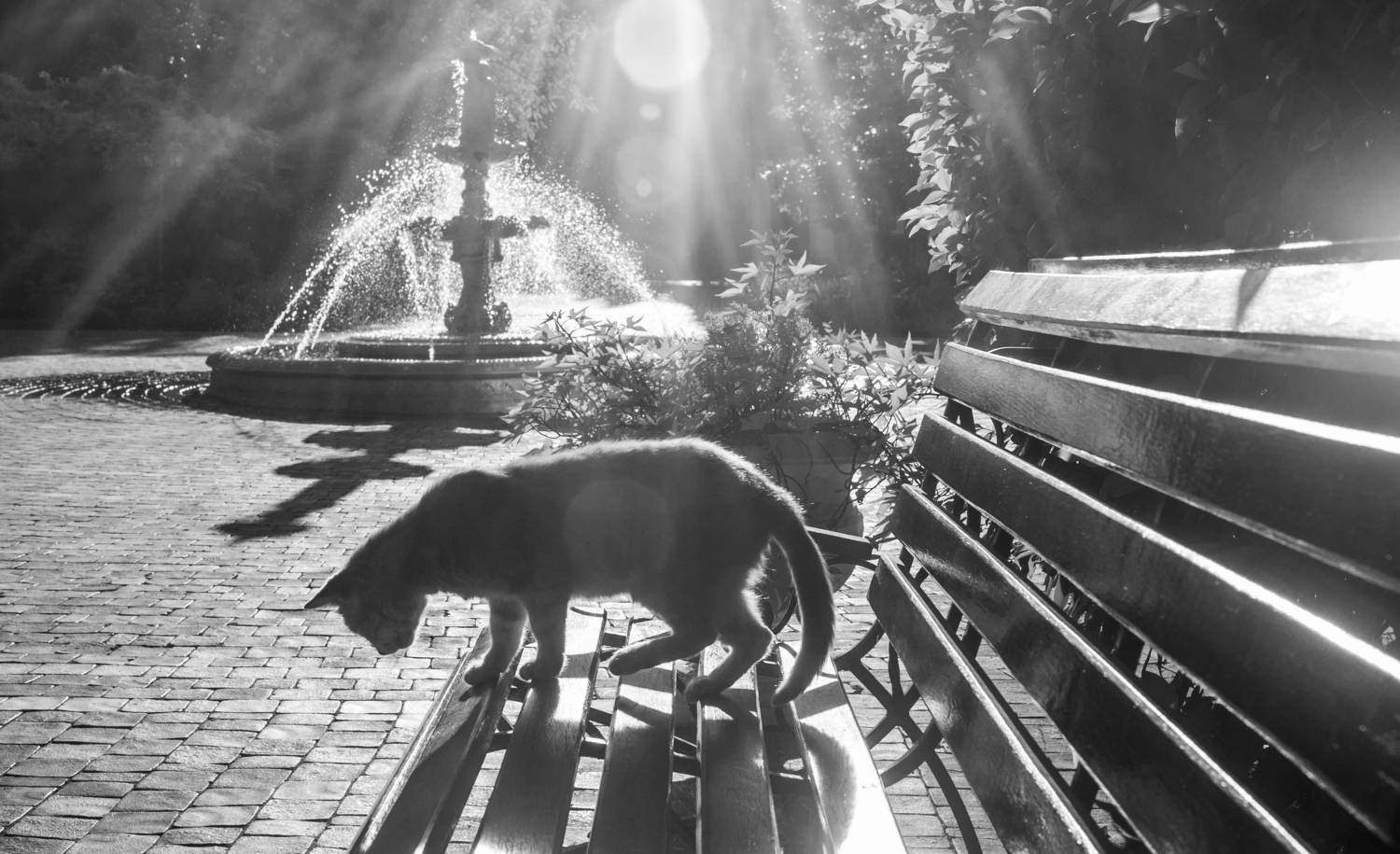 , Виктор Черкасов