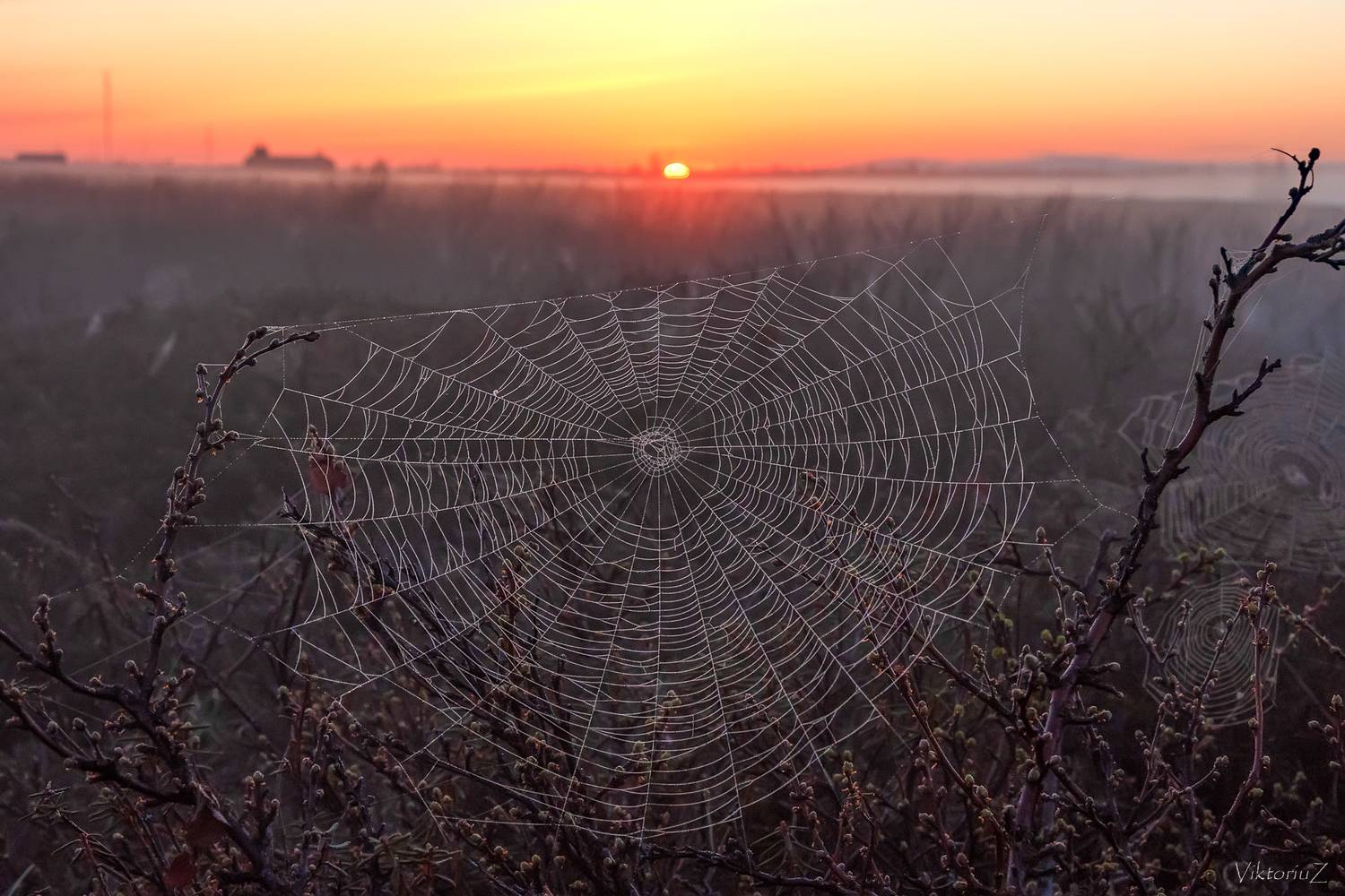 закат, путина, тундра, роса, туман, Куликов Виктор