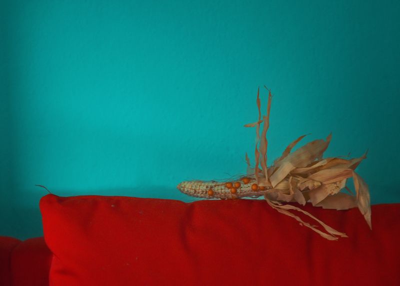 #photography #art #conceptualart #youtube #nftphotography #still life #fine art Autumn naturemort фото превью