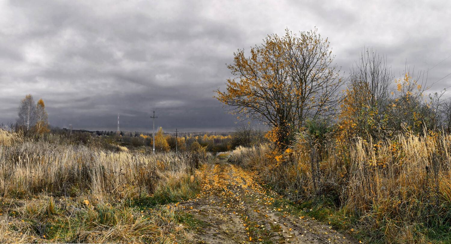 осень., sasha yudin