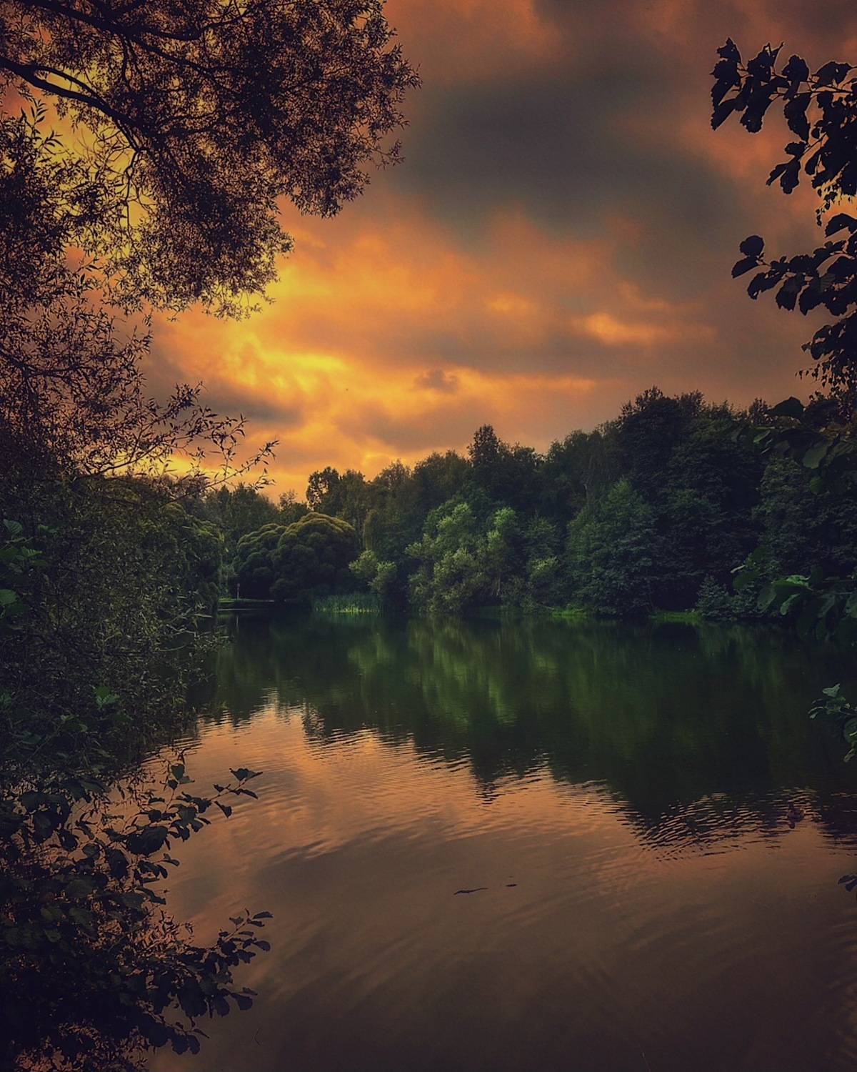 пейзаж, landscape, nature, природа, лето, summer, sunset, пруд, закат, Julia Kaissa