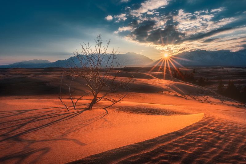Чарская пустыня, Чара, пейзаж, mountains, Кодар, пустыня, горы, Забайкалье, бархан, песок, landscape, desert Однажды в пустыне фото превью