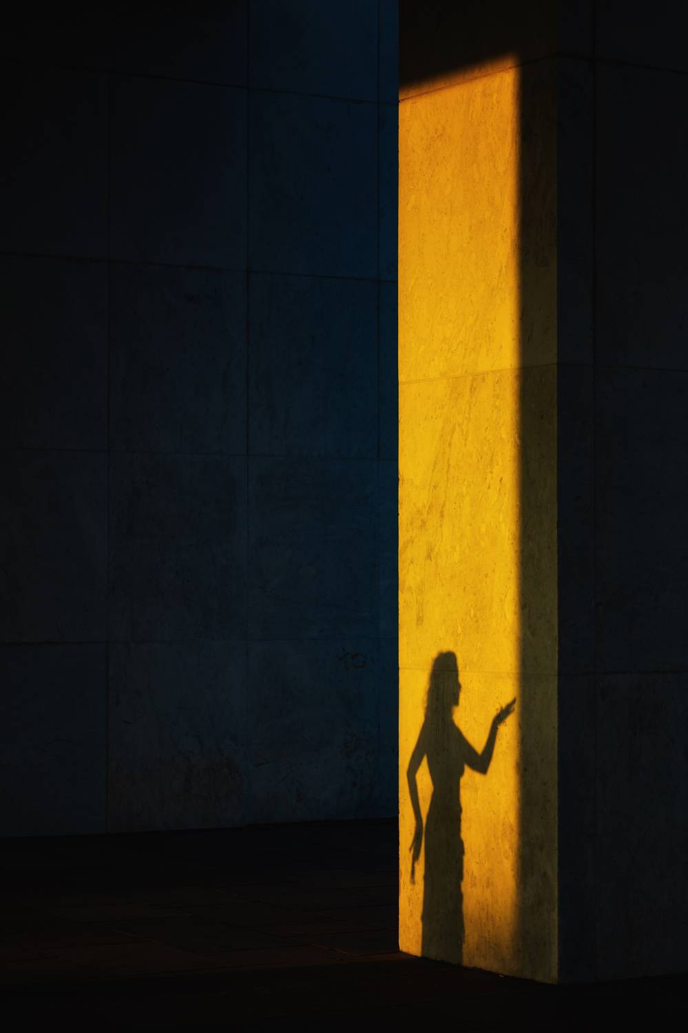 shadow, light, portrait, woman portrait, portrature, bw, people, портрет, женский портрет, женщина, чб, черно-белый портрет, черно-белая фотография,, Alexander Toutaev