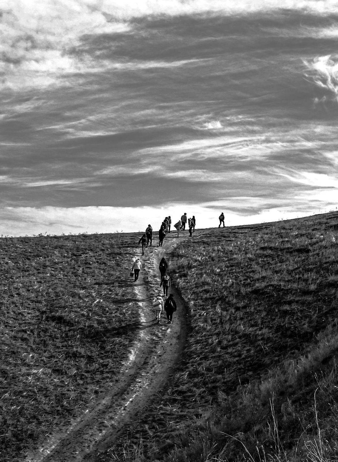 шаварёв, арт,, Александр Шаварёв