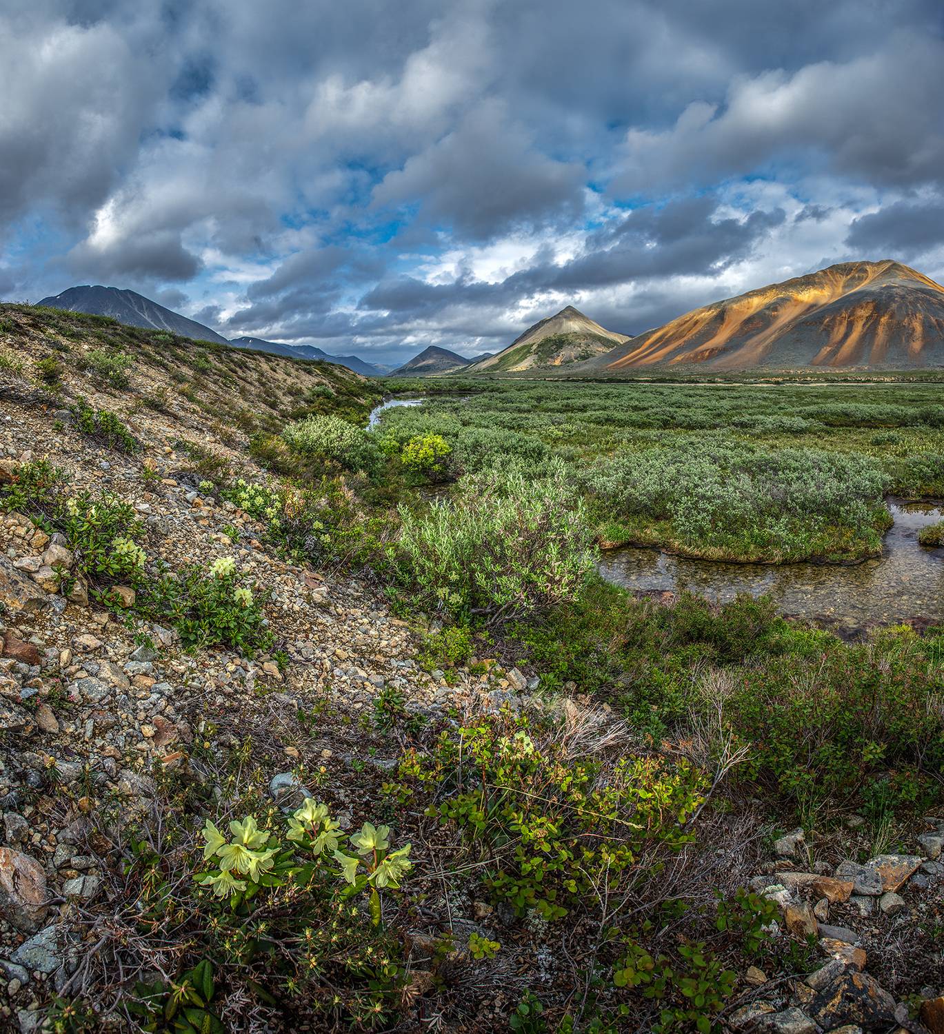 , Андреев Николай