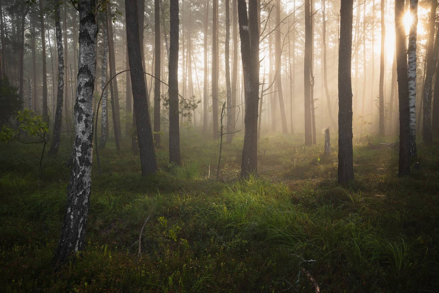 , Захаров Дмитрий