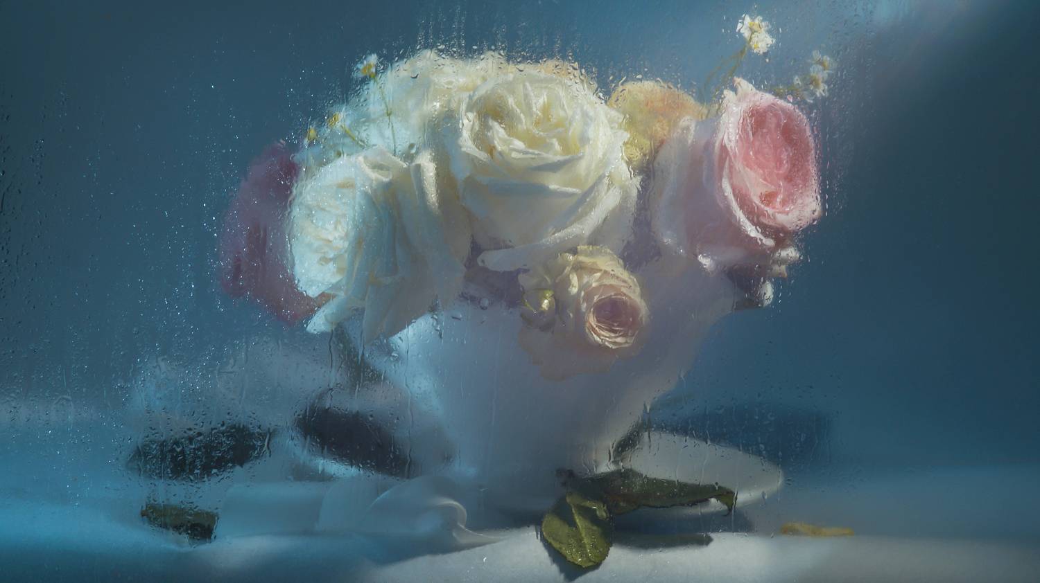 , Сушкевич Светлана