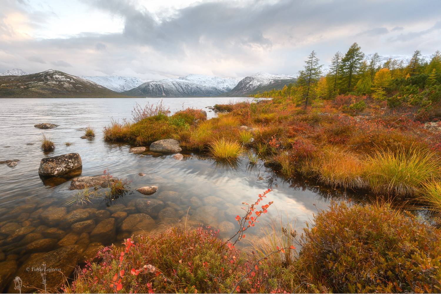 колыма, озеро джека лондона, магадан, магаданская область, лиственницы, путешествие по россии, золотая осень на колыме, Юлия Лаптева
