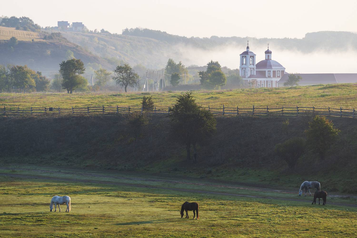 , Дмитрий Новоселов