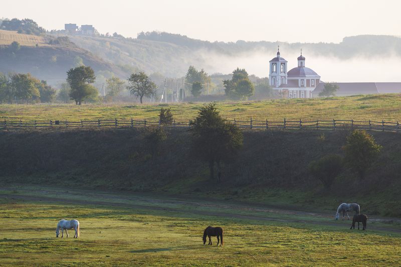 Утренняя идиллия фото превью