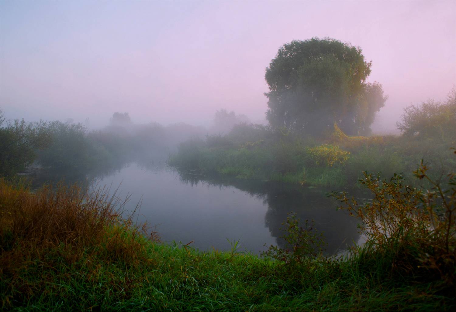 воронеж, боровое, усманка, туман, рассвет, синий час, река, пейзаж, воронежская область, сентябрь, Рукин Иван