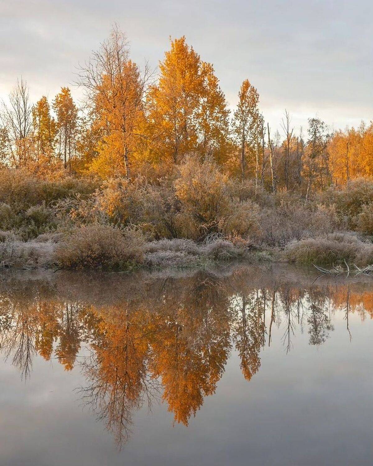 , Петр Косых