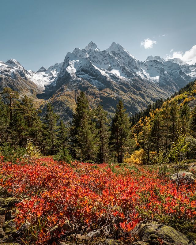 кавказ, горы, осень, махар, карачаево-черкесия Осень фото превью