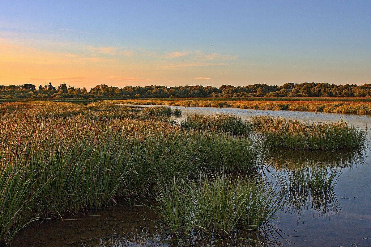, Николаев Владимир