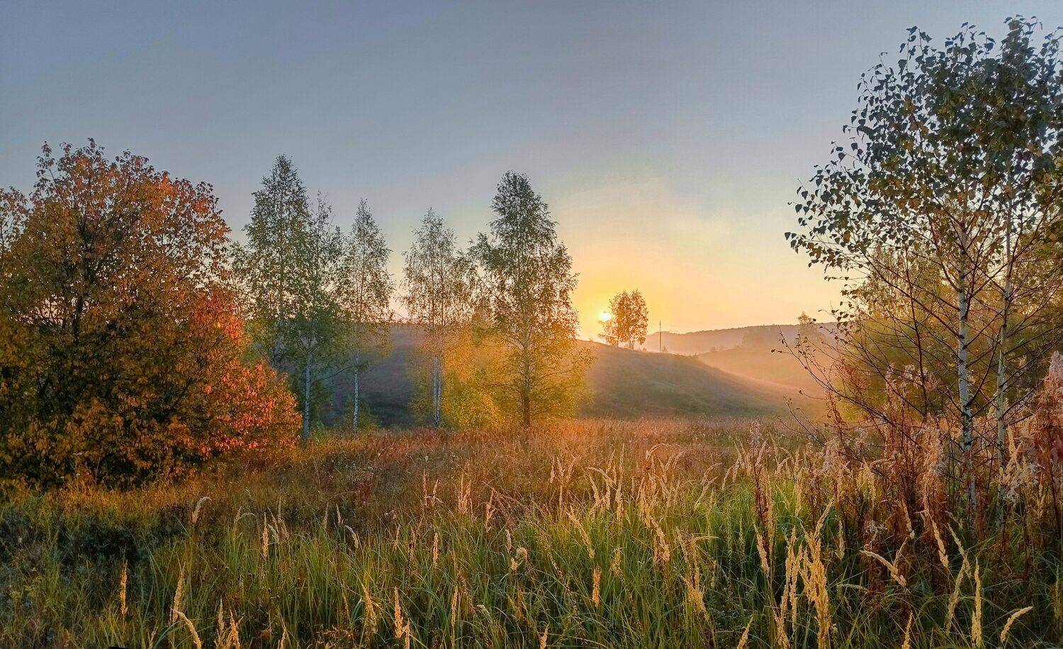 , Светлана Кондрашова