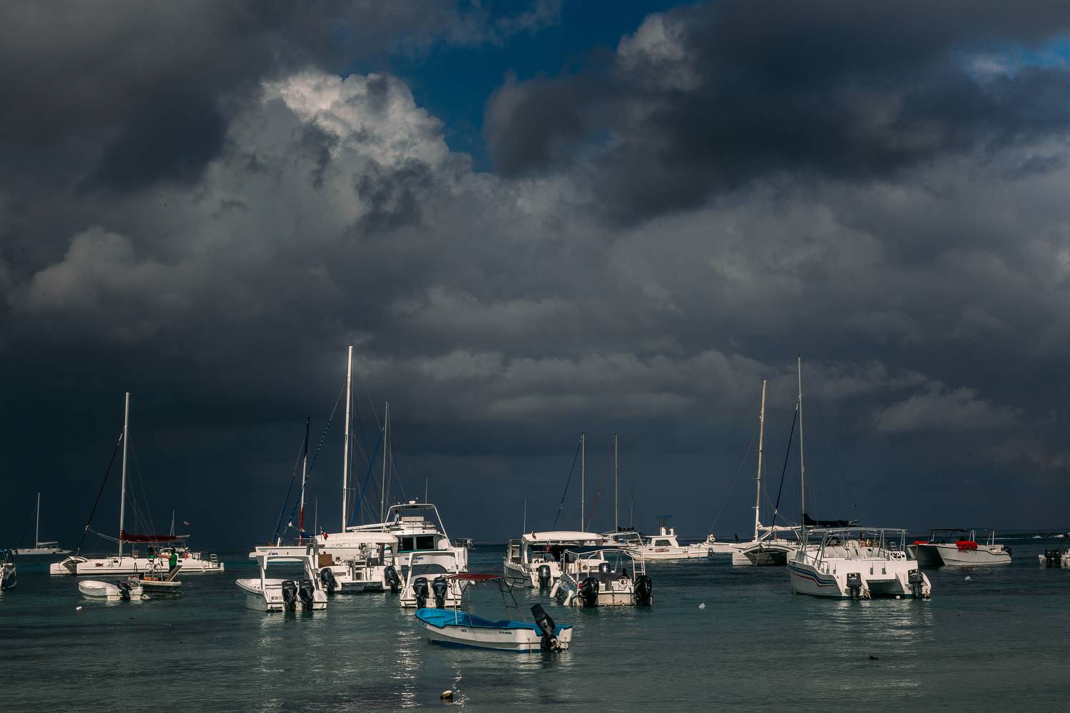 , Трепольский Дмитрий