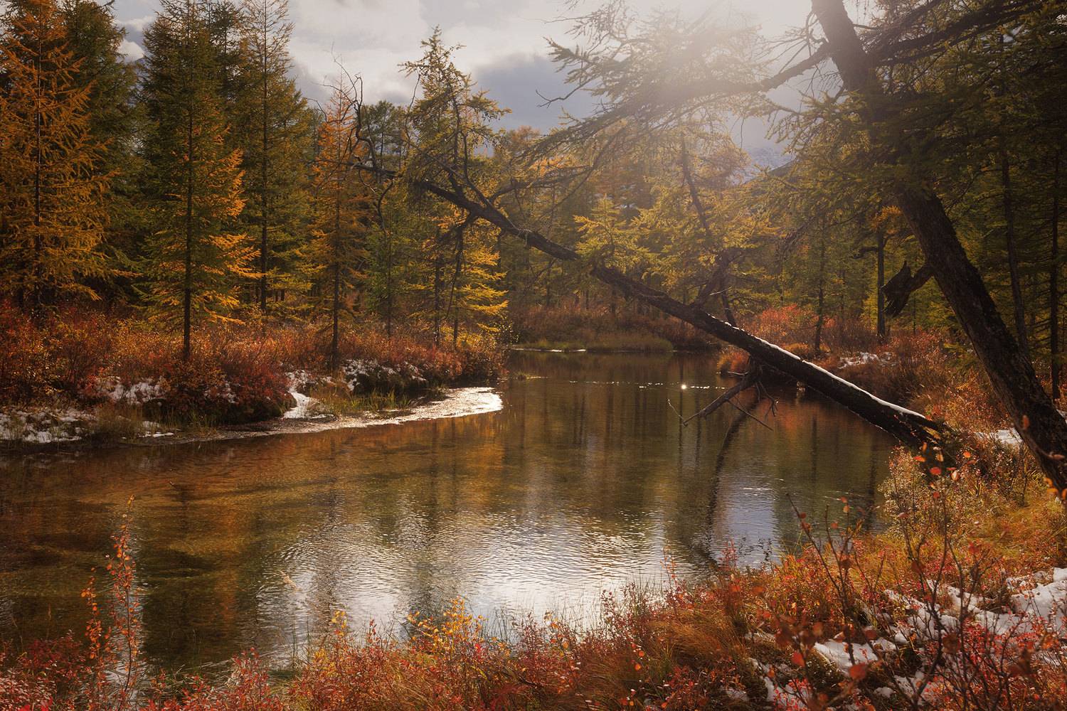 , Морозов Сергей