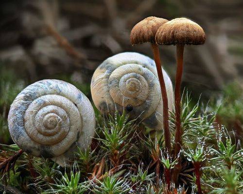 Осенний этюд