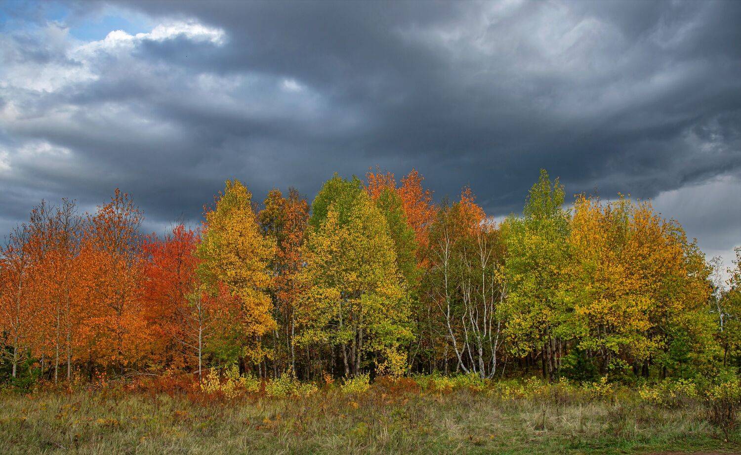 осень, Евгений Дроботенко