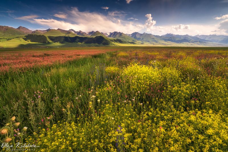 *** фото превью