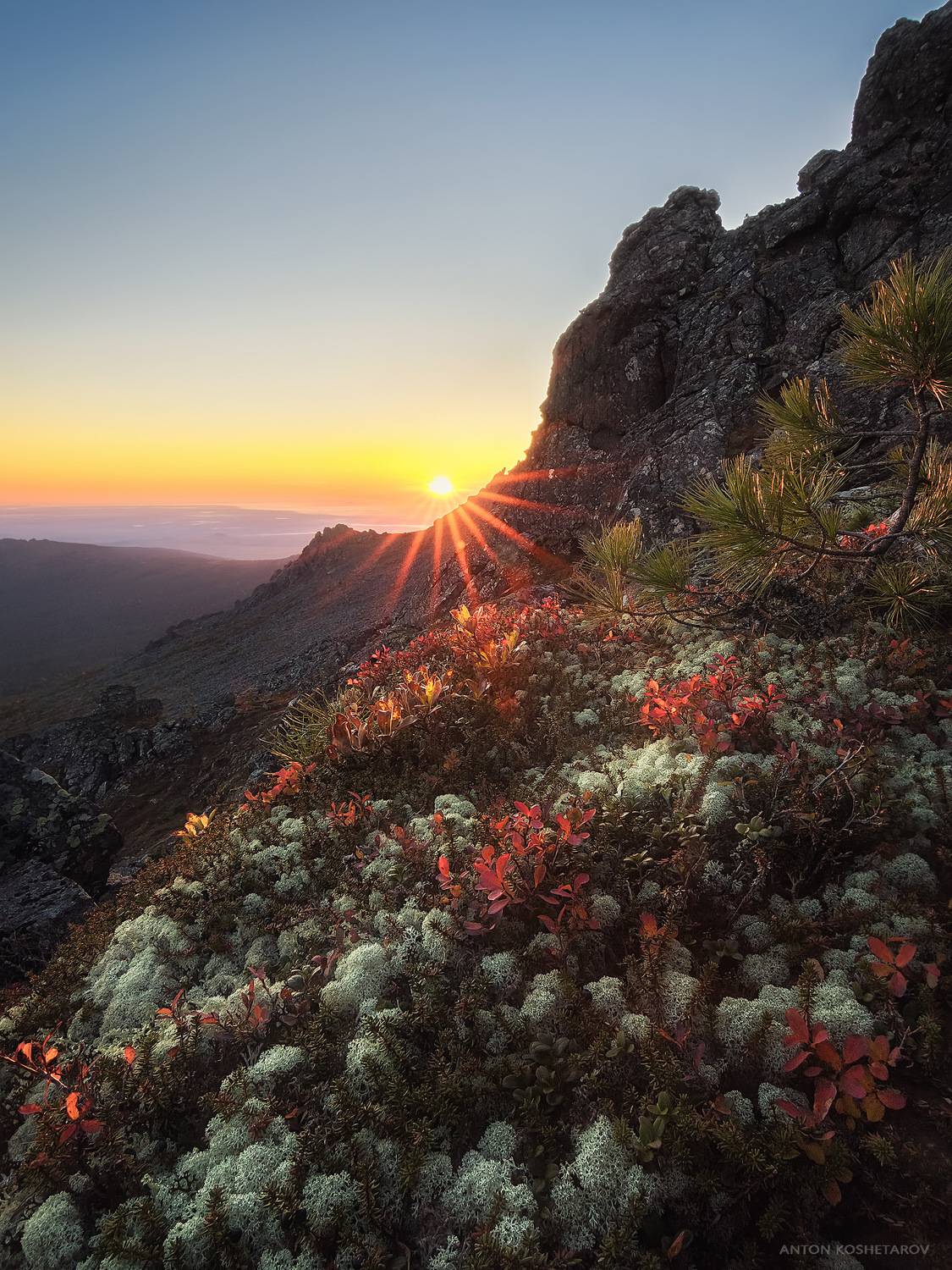 , Антон Кошетаров