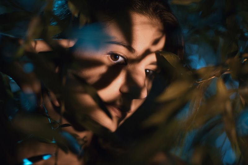 Гипотеза Карпмана фото превью