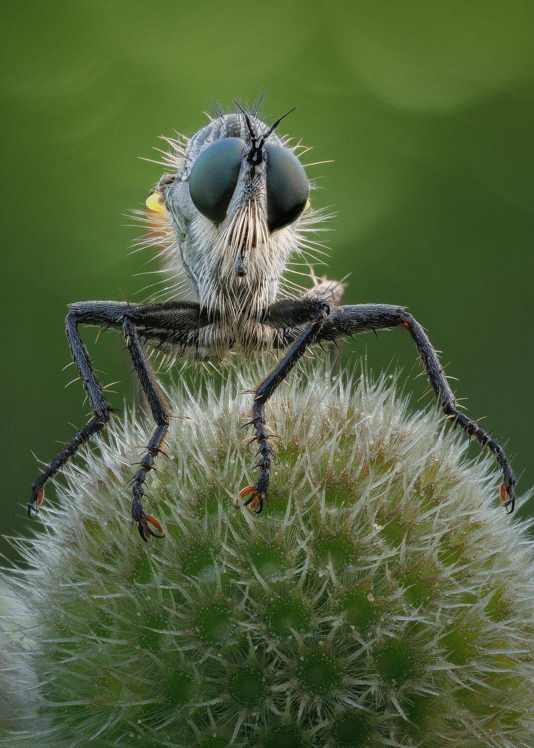 , Кузнецов Дмитрий