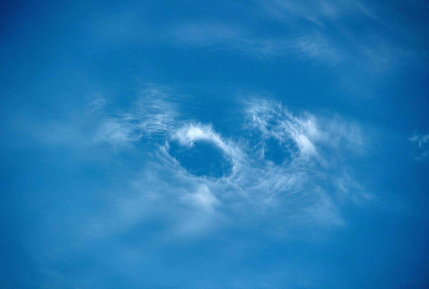 , Наталья Новикова