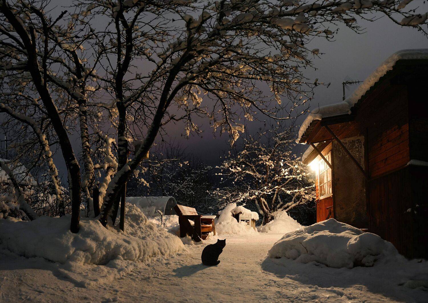 ночь,фонари., sasha yudin