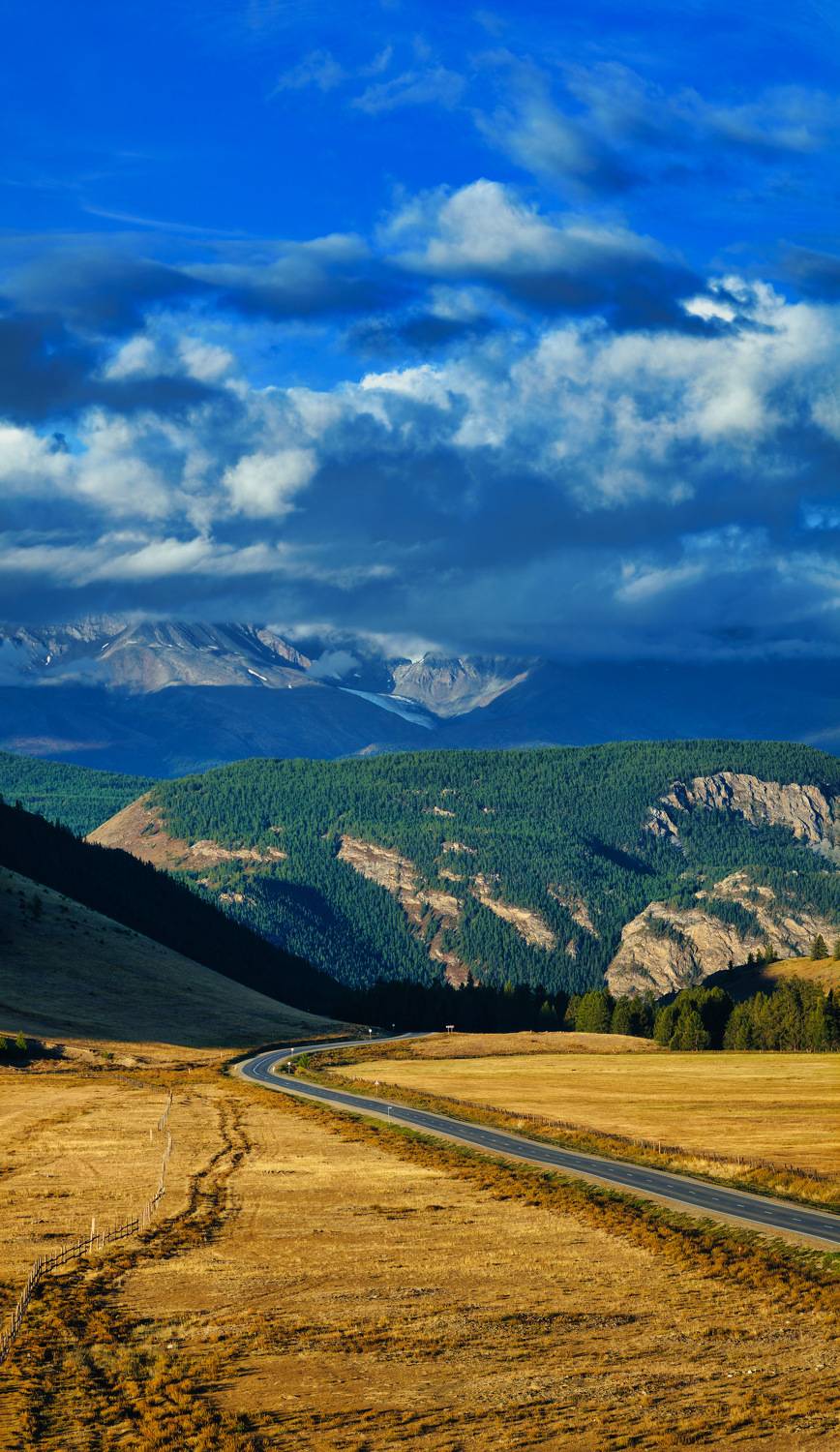 , Владислав Саморуков