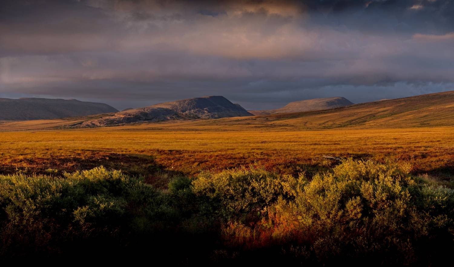 чукотка, тундра, нд, chukotka, tundra, арктика, чукотка нд, осень, что такое осень?, Демкина Надежда