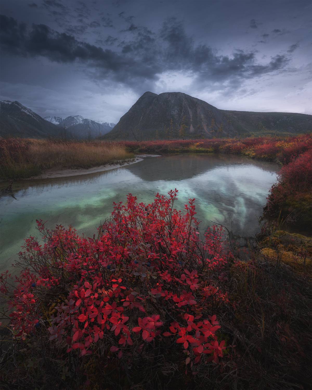 , Политова Анна