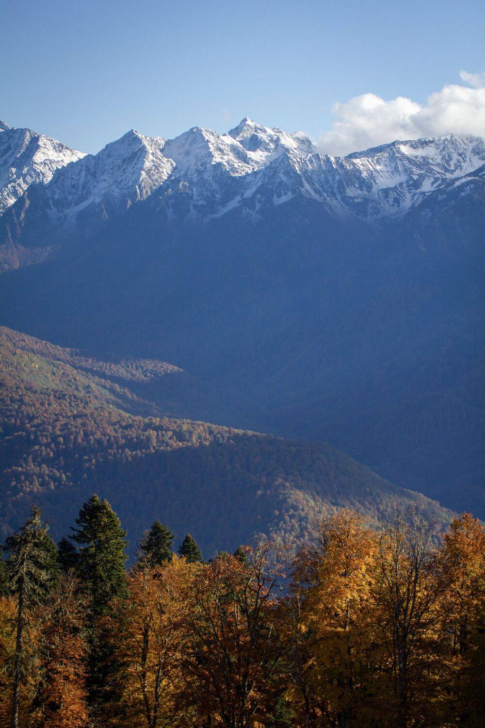 , Сергей Фаренюк