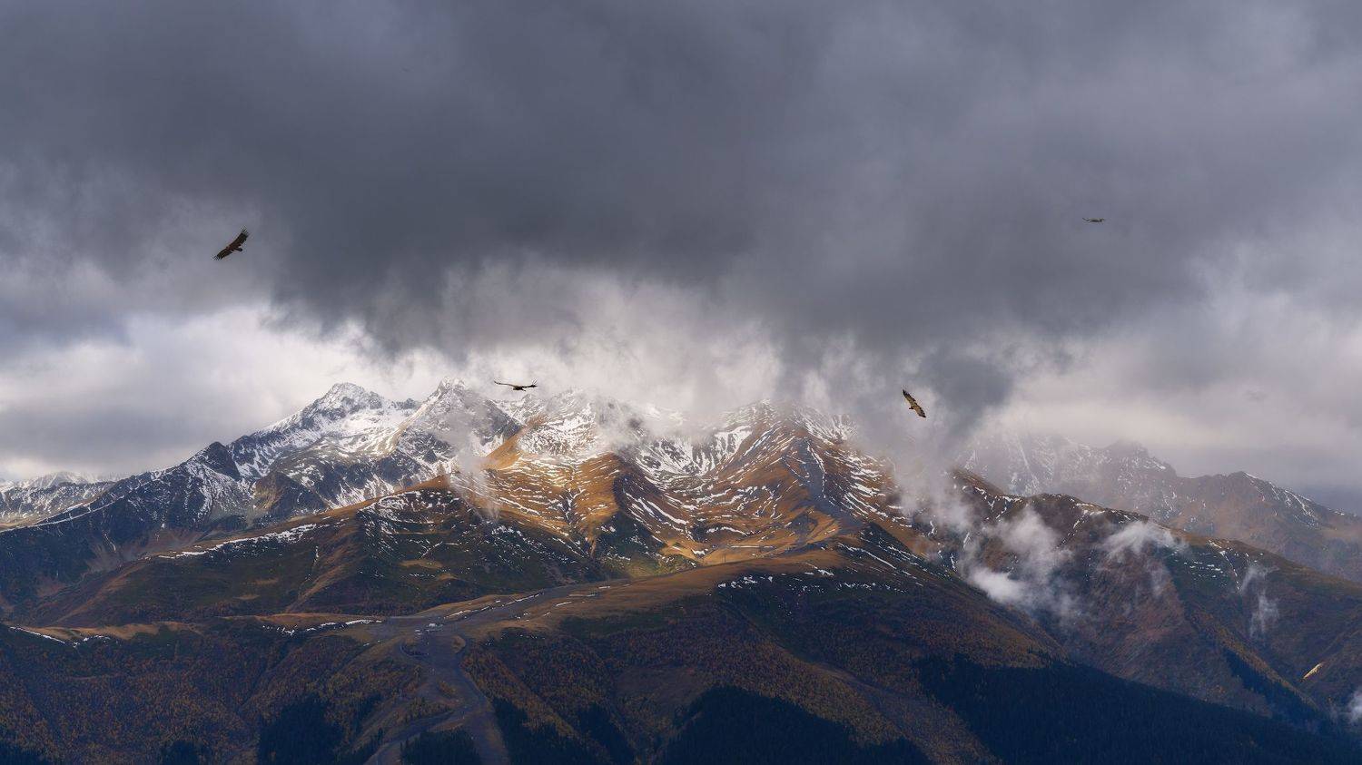 , Юлия Мальцева