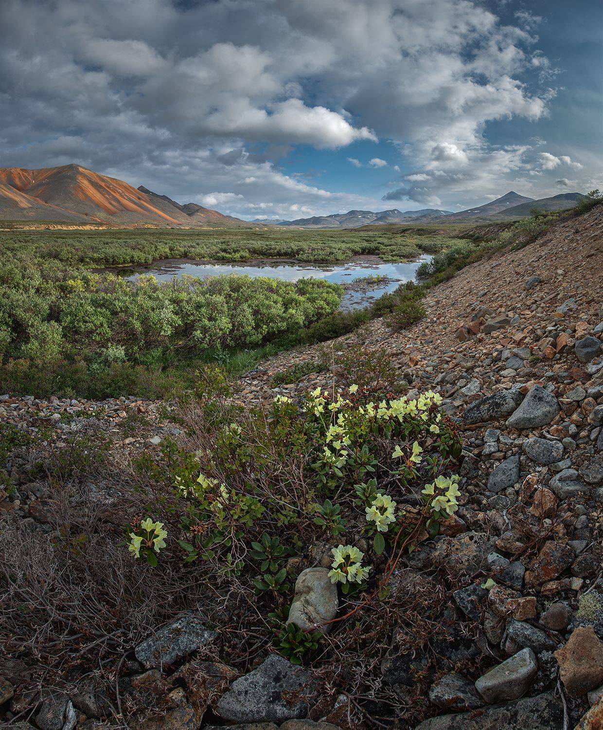 , Андреев Николай
