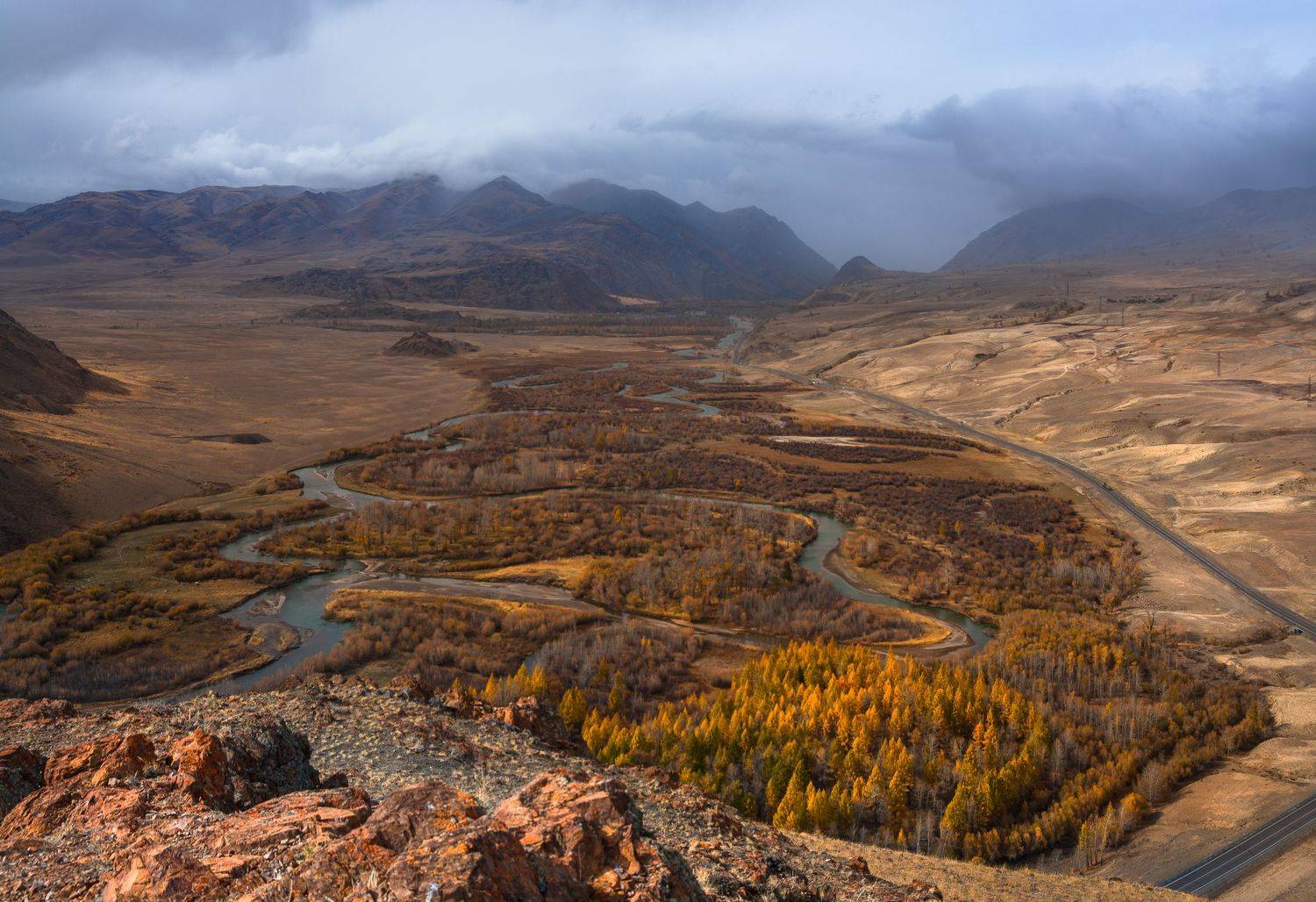 россия, горный алтай, река чуя, меандры,осень, Андрей Поляков