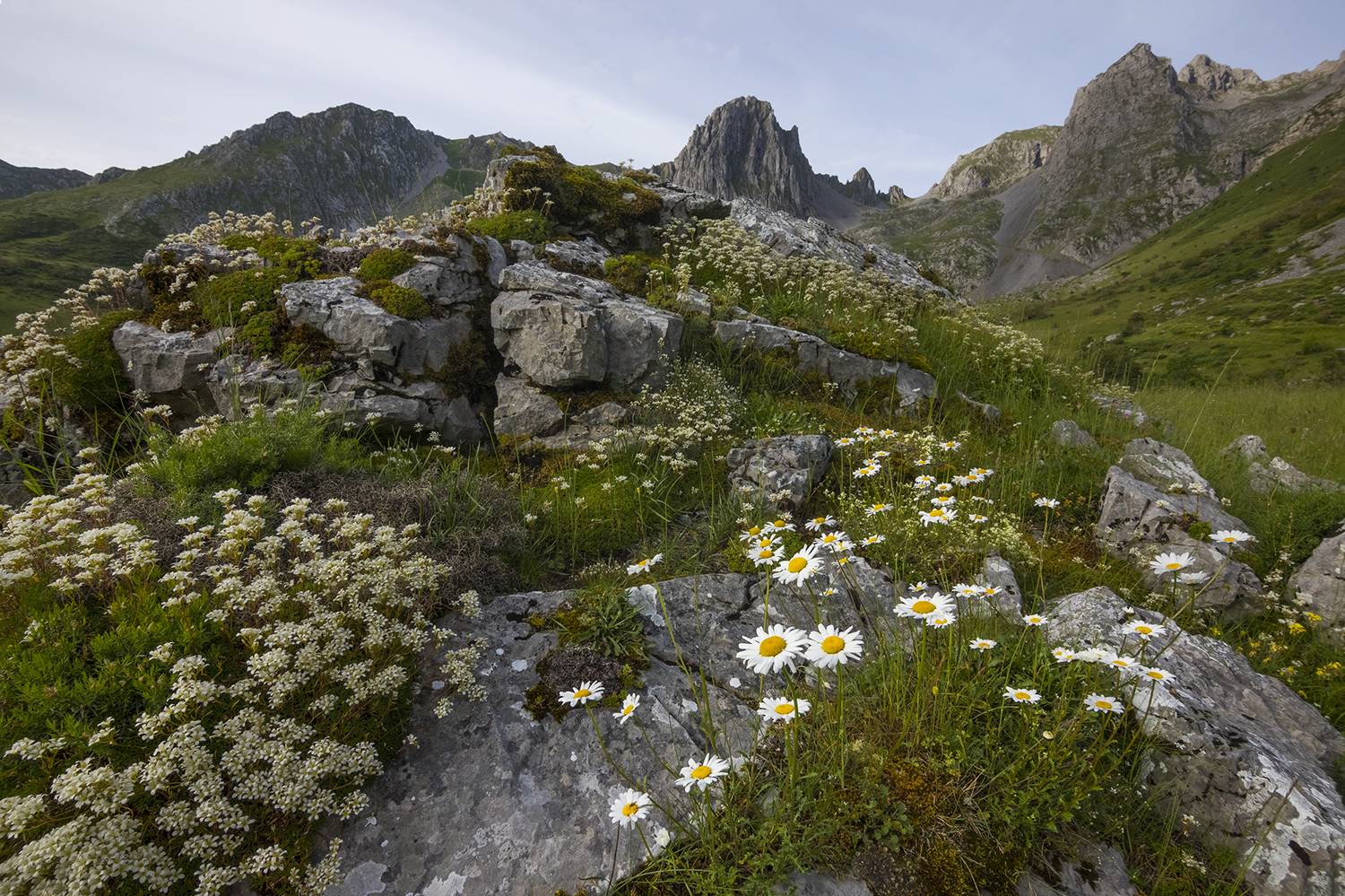 photography, mountain, winter, snow, landscape, photo, awakening, pink nature, mountains, dawn, color, colorful, landmark, mood, moddy, amazing, cool, jimenez millan samuel