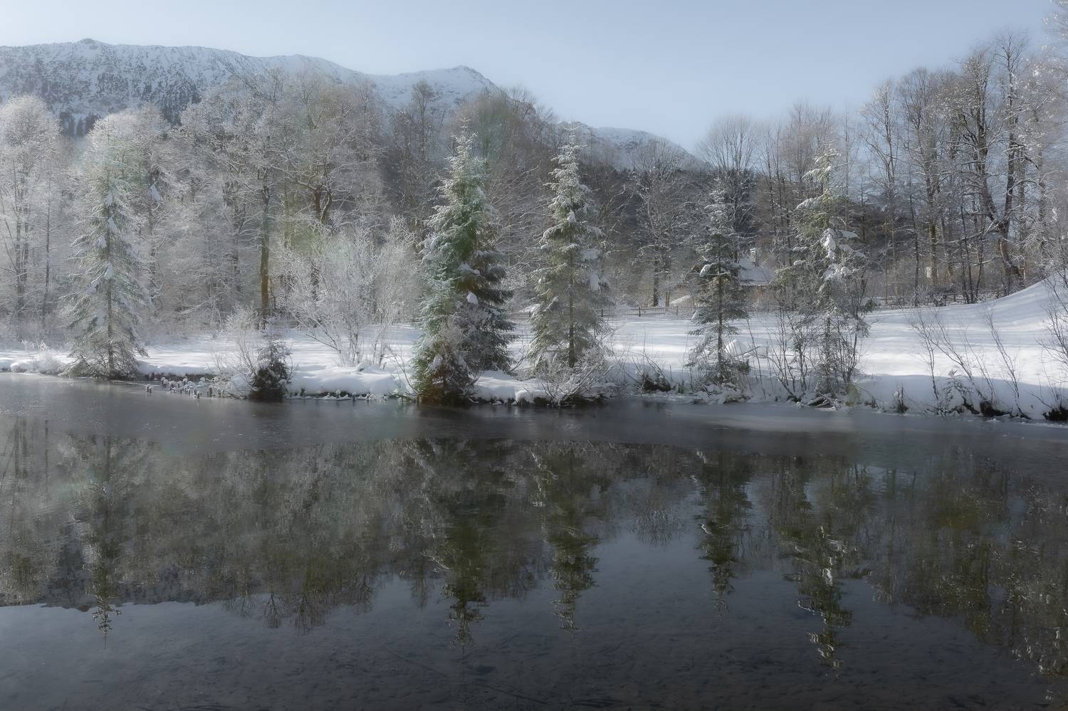 , Юрий Пужалин