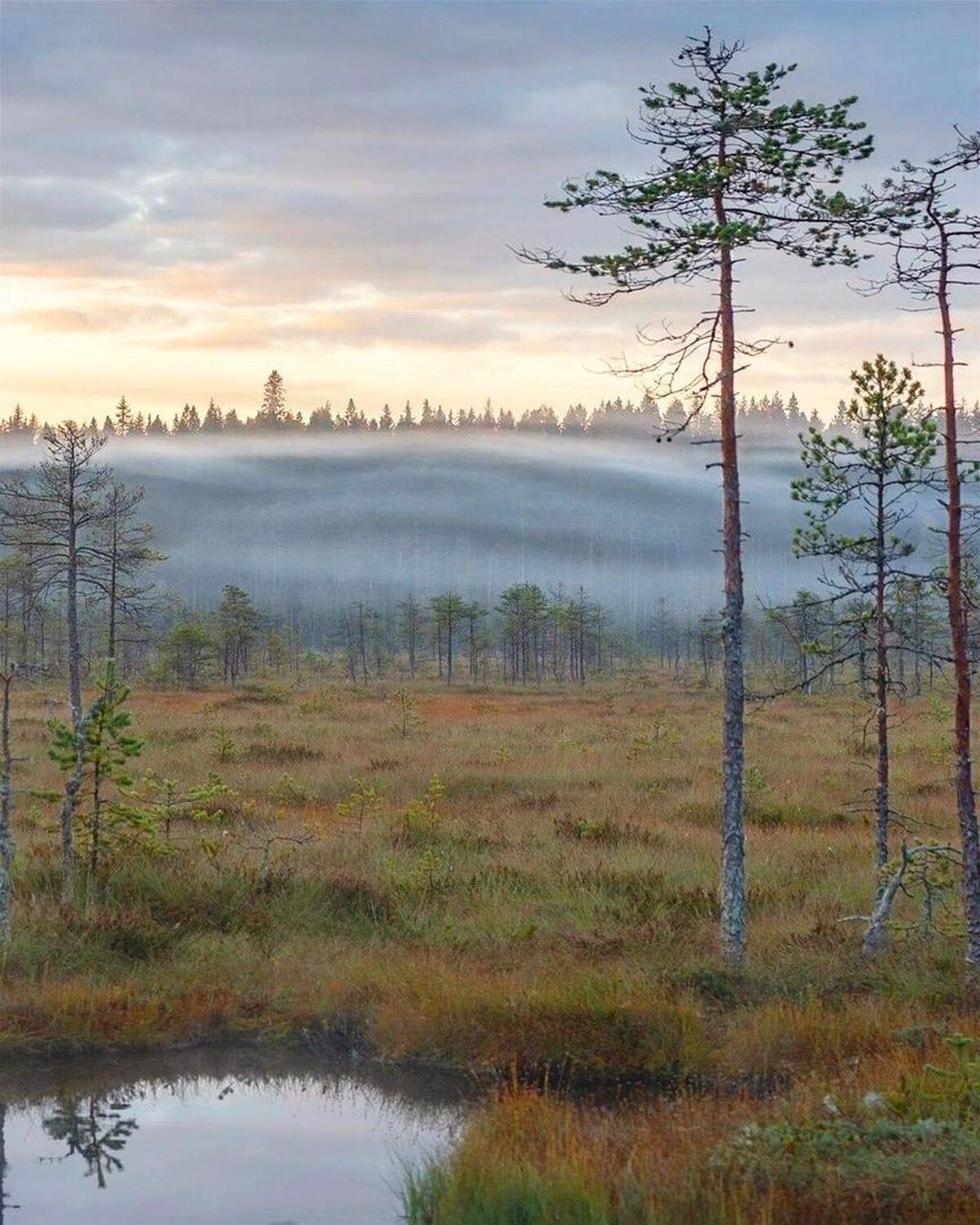 , Петр Косых